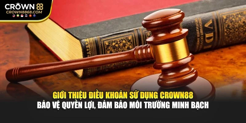 Giới thiệu điều khoản sử dụng Crown88 bảo vệ quyền lợi, đảm bảo môi trường minh bạch